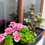 Casa Vistabuena, Golf, Jacuzzi, Beach&views * Buenavista Del Norte